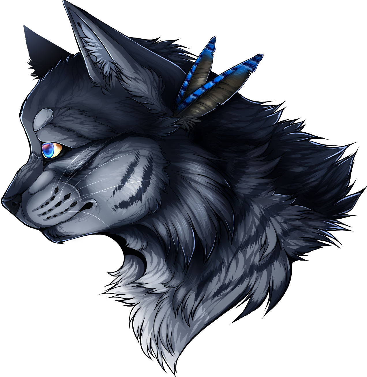 [Warrior Cats]  Jayfeather