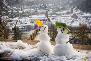 snowcouple