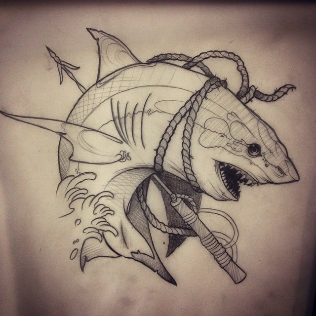 Shark