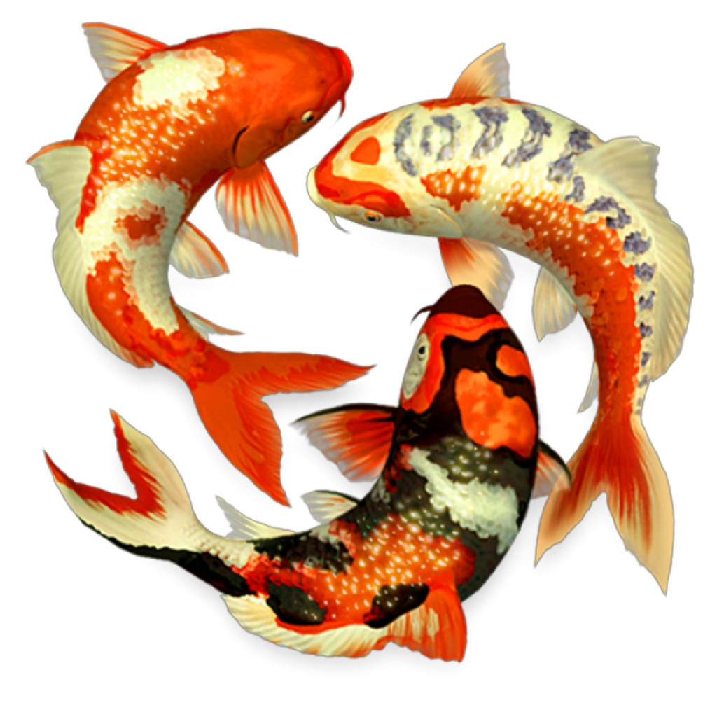 Karpa by hanjorafael on DeviantArt