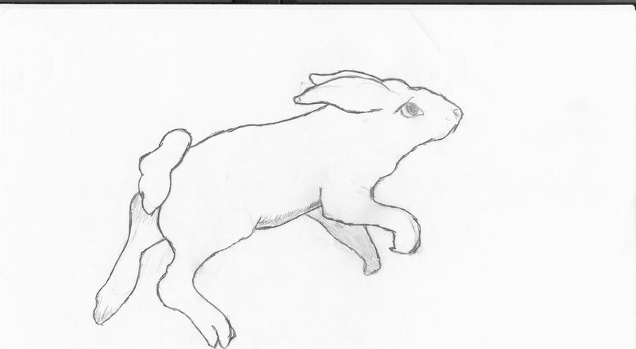 Jumping Rabbit by Snufflesforever on DeviantArt