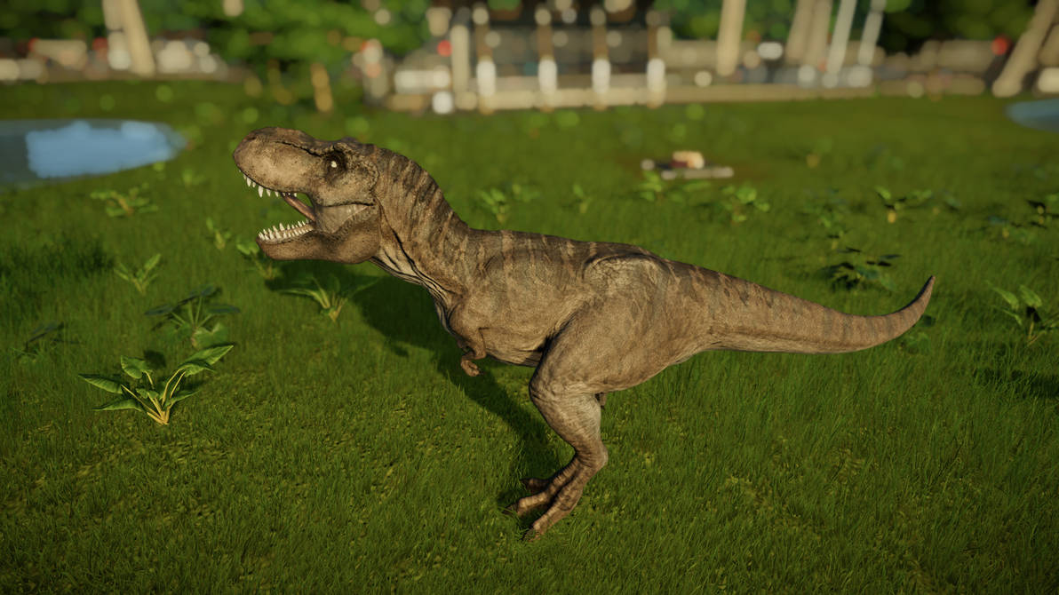 JWE Custom texture: Kenner Young Rex by Keino19 on DeviantArt