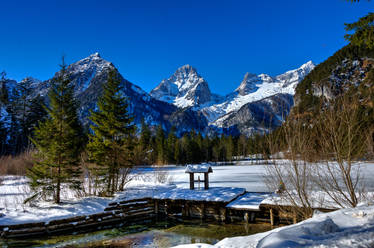 winter landscape