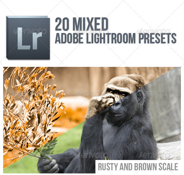 20 Mixed Lightroom Presets
