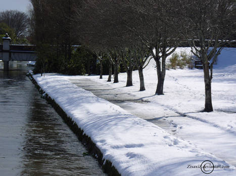 The Spring Snowfall