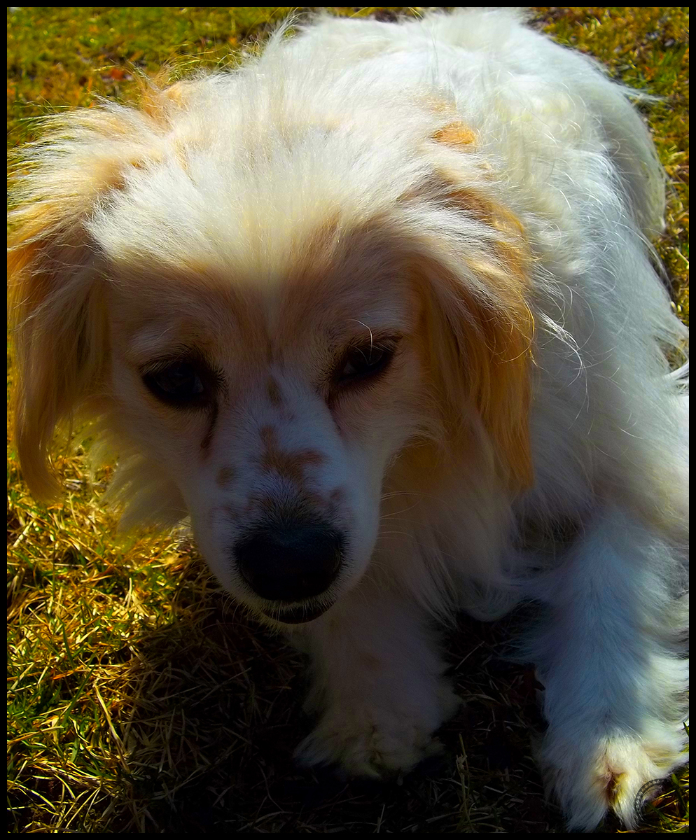 Lacy in The Sun 2