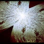 Ghost of The Coral Butterfly