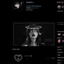 Steam Featured Artwork - Dark Halo