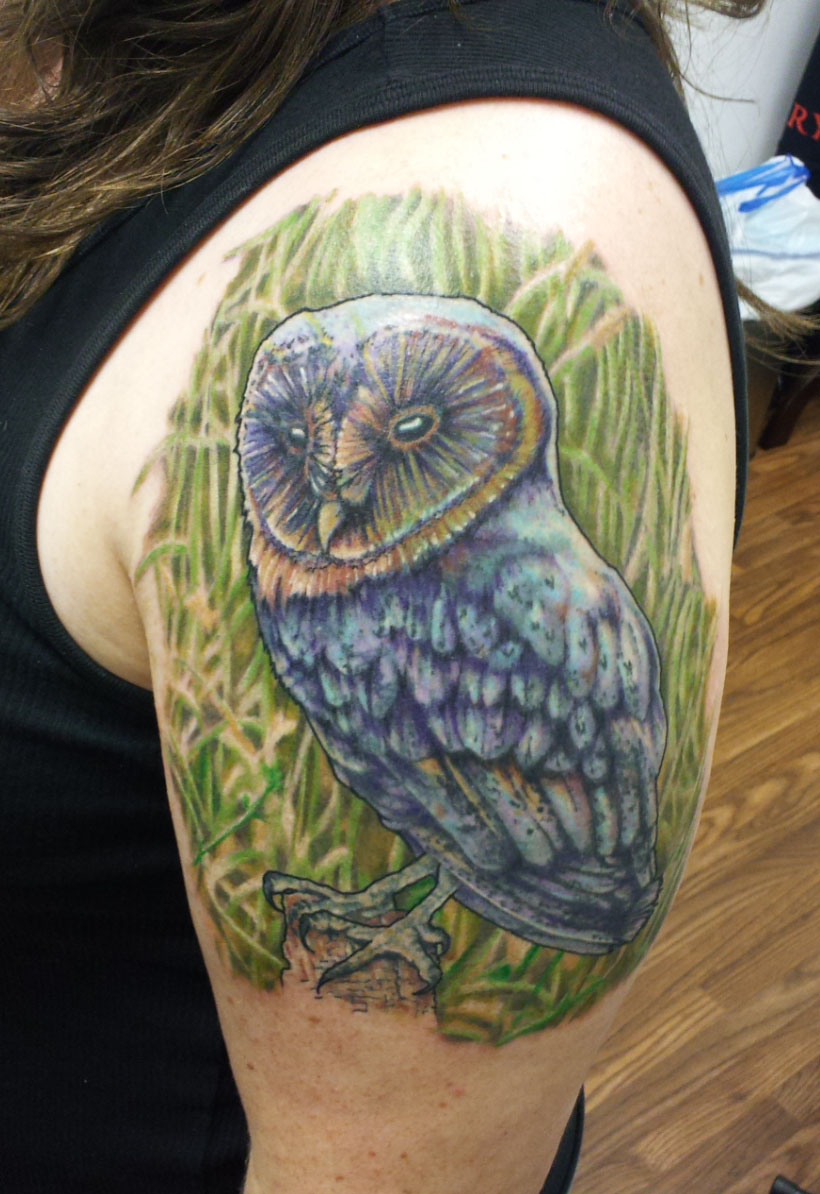 Owl with tall grass