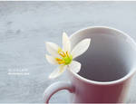 Flower Cup by since91