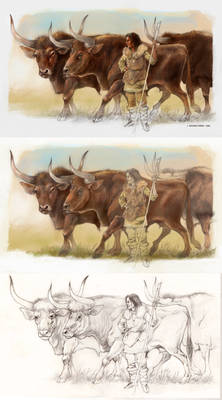 Domestic Aurochs