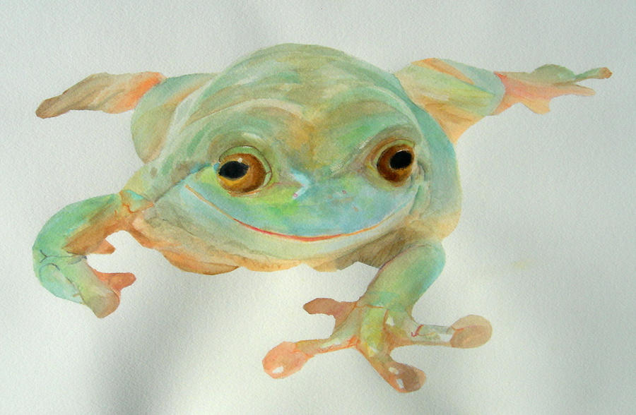 Squishy Frog by blished on DeviantArt