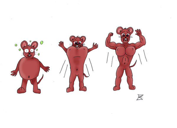 Little Mouse Variations The LITTLE mouse 03 by kimenguman on DeviantArt