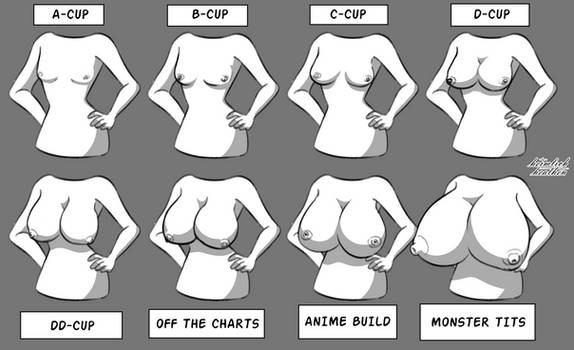 Boob Chart - Picture