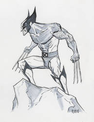 Wolverine commission