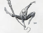 Spider-man commission