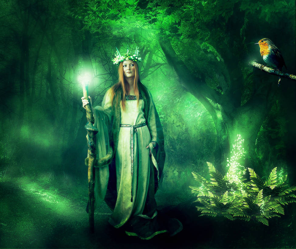 magical Forest by mrscats magical Forest by mrscats