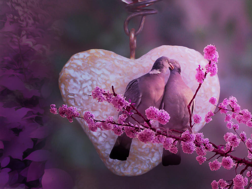 Твое сердце птица. Нежные птицы. Розовая птица. Нежная птичка. Птица любви.