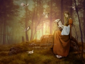 Serenade in the evening by mrscats Serenade in the evening by mrscats