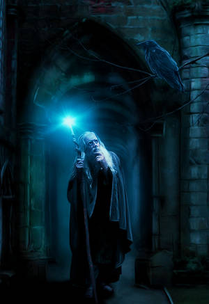 The Wizzard by mrscats The Wizzard by mrscats