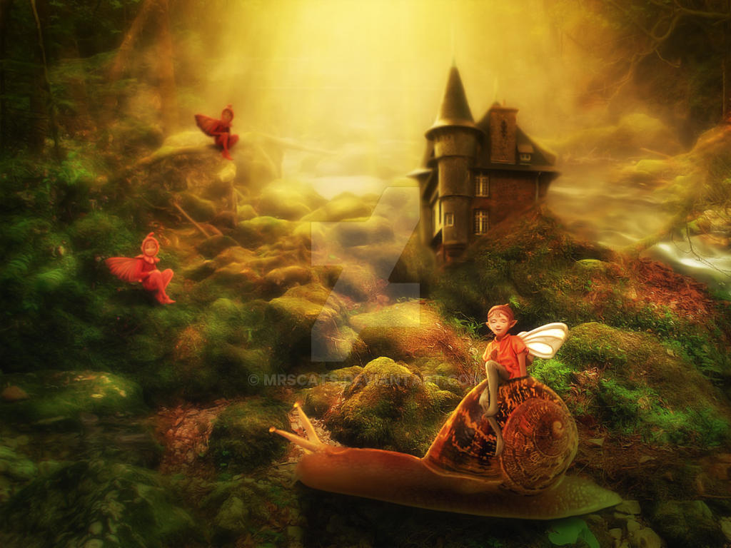 In the fairy world by mrscats In the fairy world by mrscats