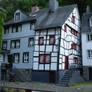 Medieval Houses 11