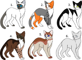 {Open!} 2/6 Cat Adoptables