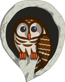Selene the Owl