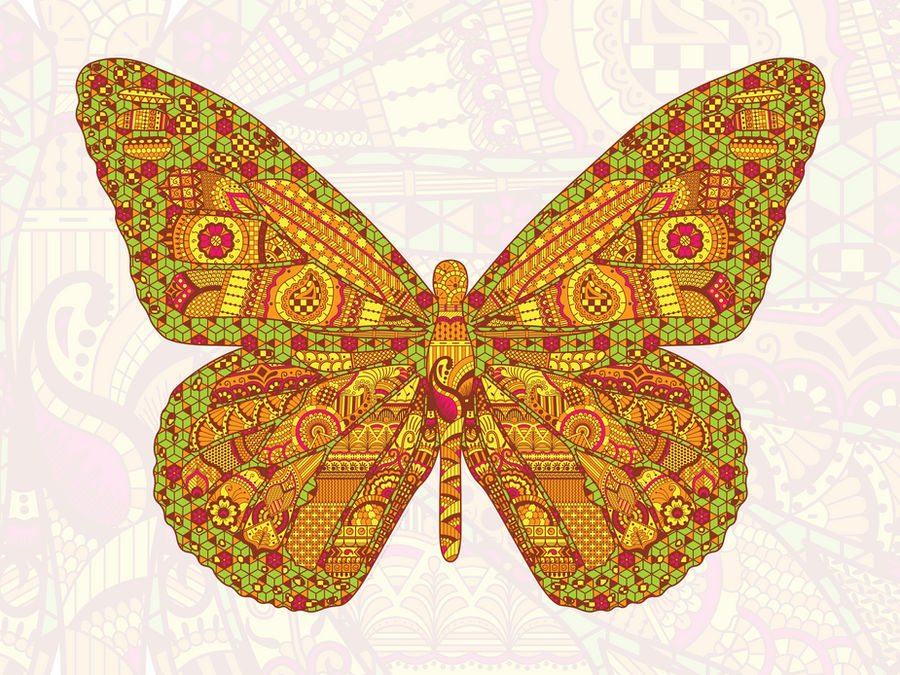 Indian Monarch by vhartley