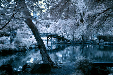 Kyoto - Shosei-en Garden