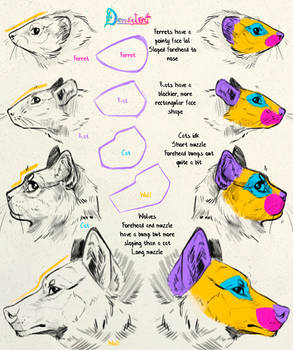 Critter Profiles