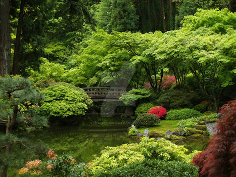 Portland Japanese Gardens A