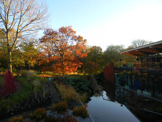 Autumn in the Botanic Gardens