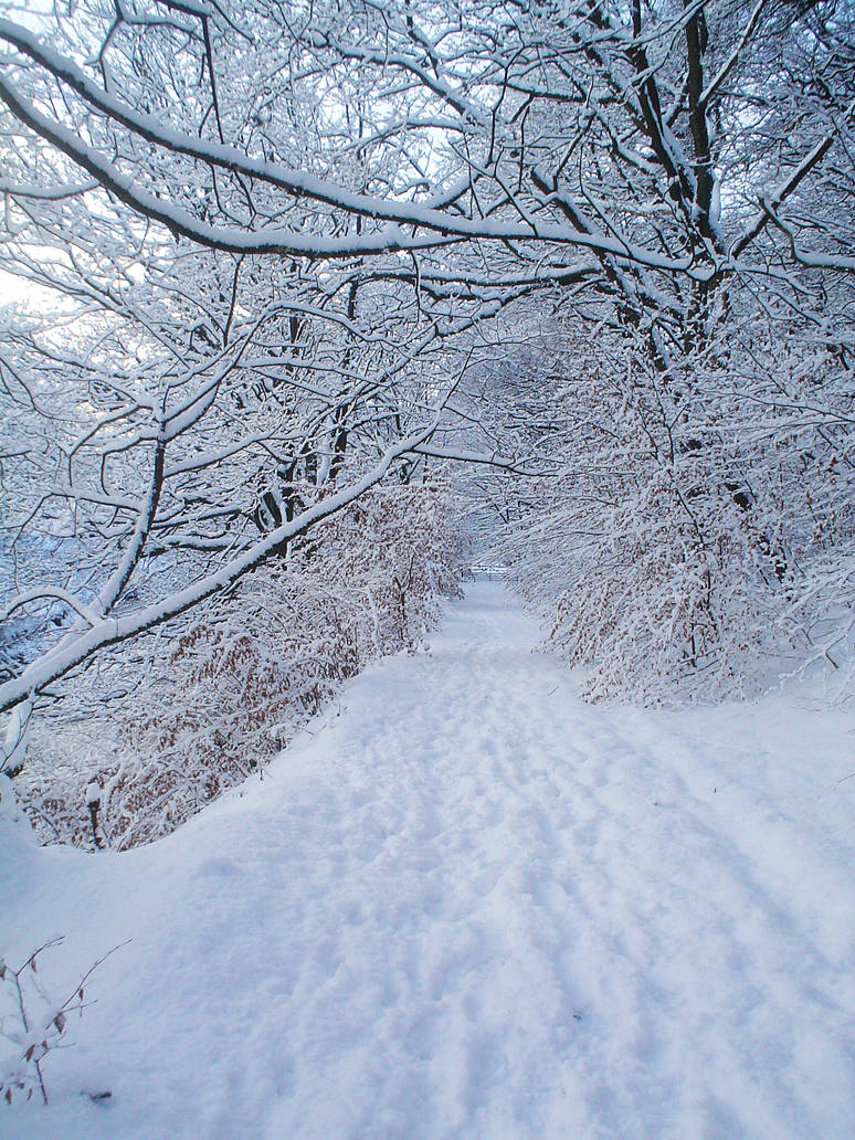Snow Path by jen-den1 on DeviantArt