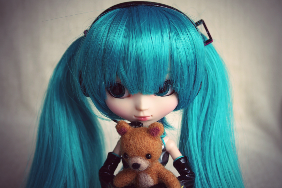 Miku and Her Teddy