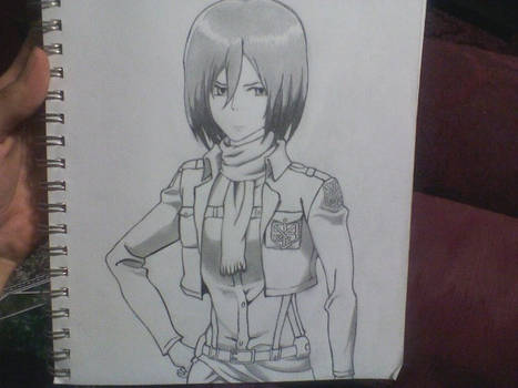 Mikasa