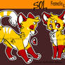 New Character: Sol