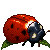 ladybug - free avatar