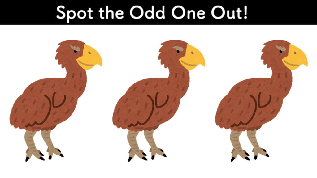 Spot the Odd One Out! by Dr-SPOT on DeviantArt