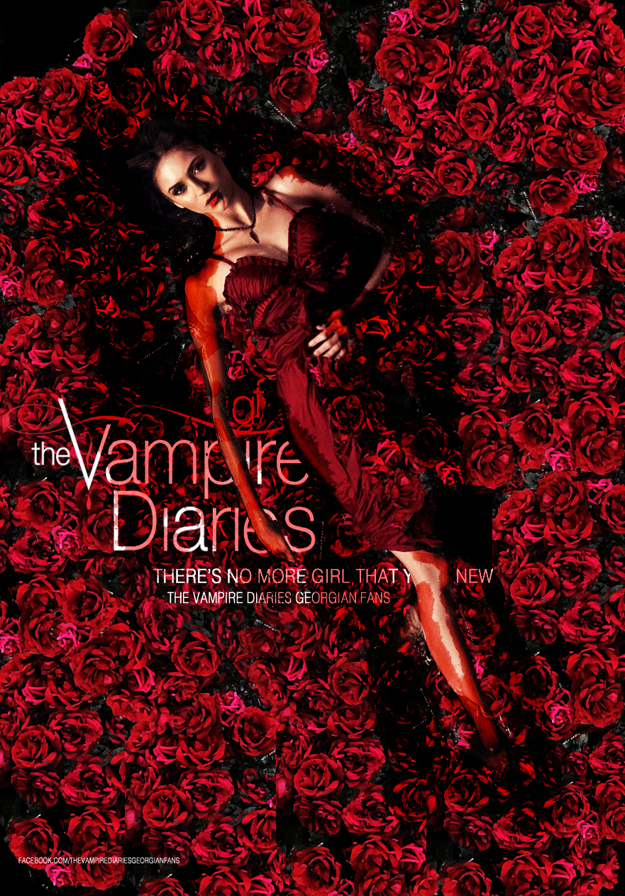 The Vampire Diaries Season 4 Poster  Vampire diaries seasons, Vampire  diaries, Vampire