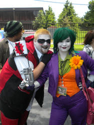 Lady Joker and Sir Harley Quinn