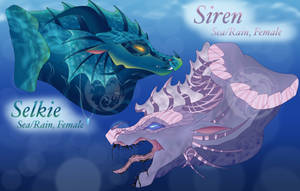 Adopt: Siren