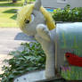 Derpy and the Mail box