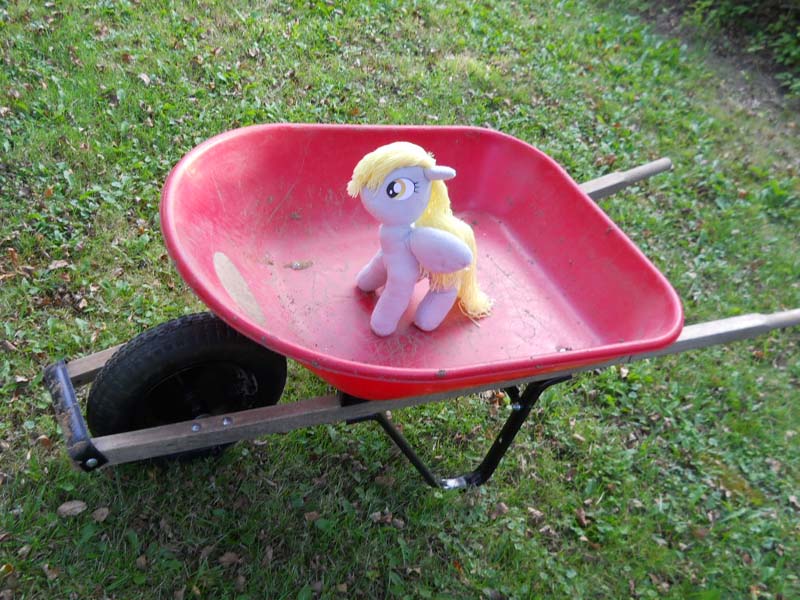 Wheelbarrow Derpy