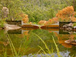 The Colours Of Autumn II by MissSpocks