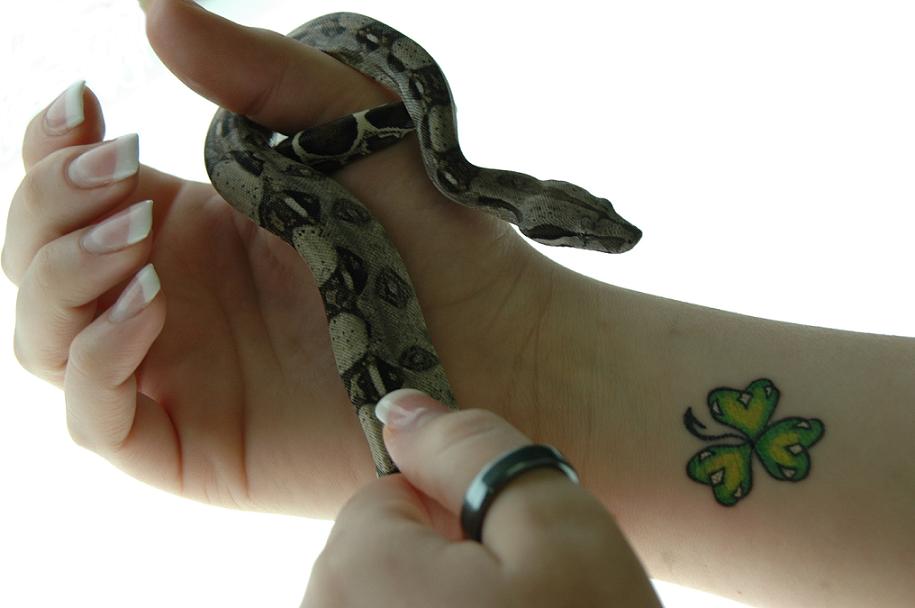 Snake and Tattoo