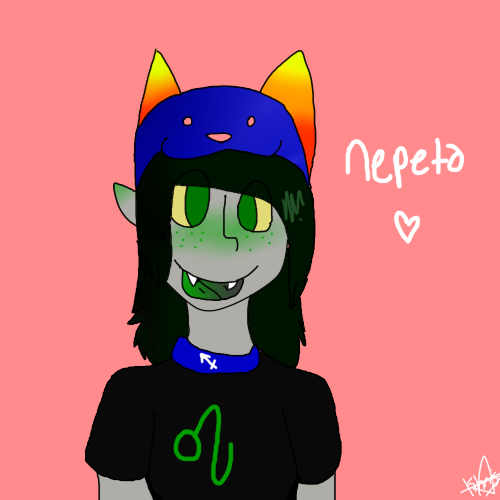 Nepeta