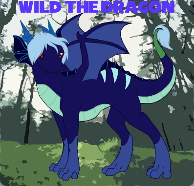 Wild the dragon avatar