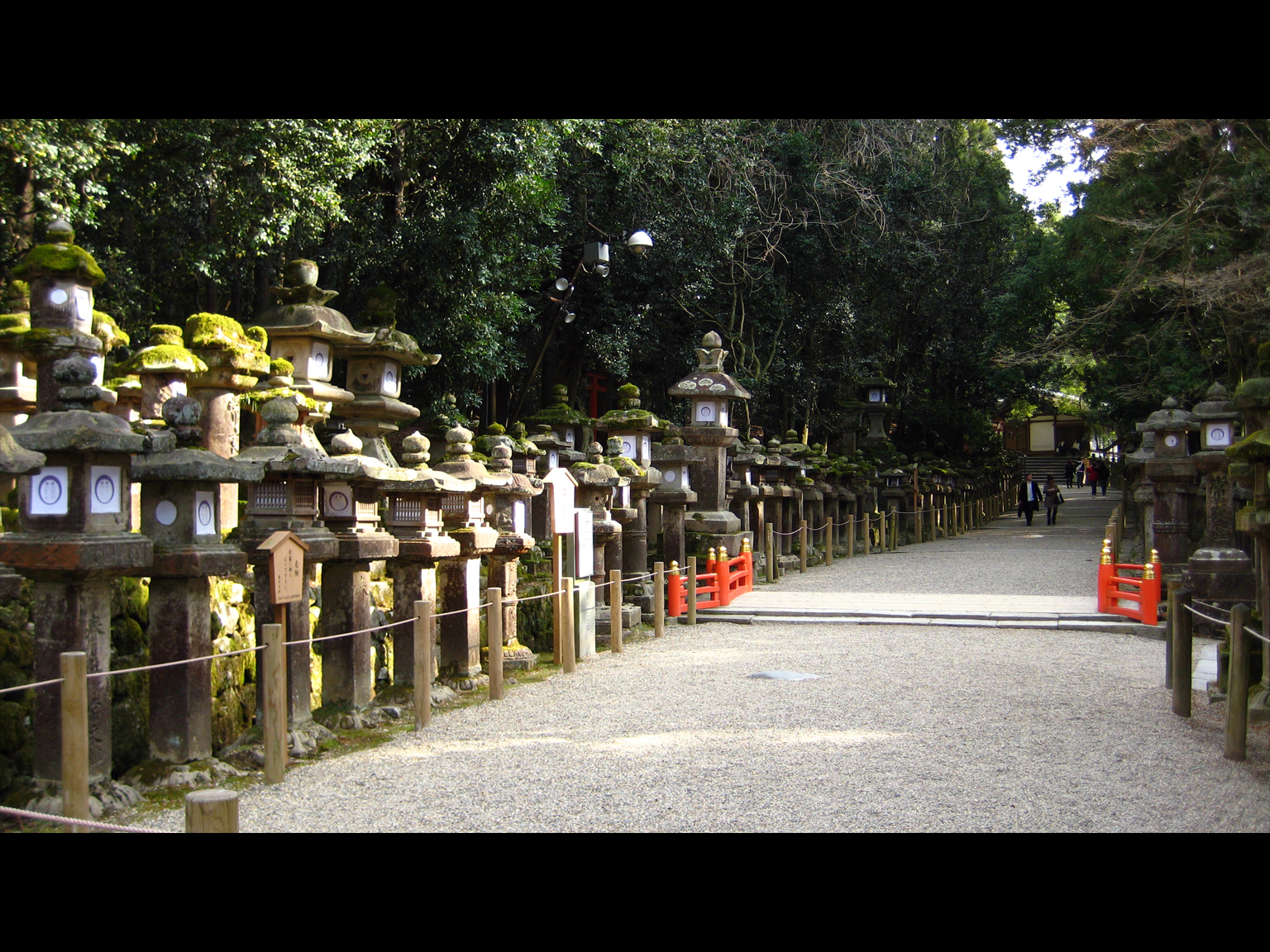 A walk in Nara