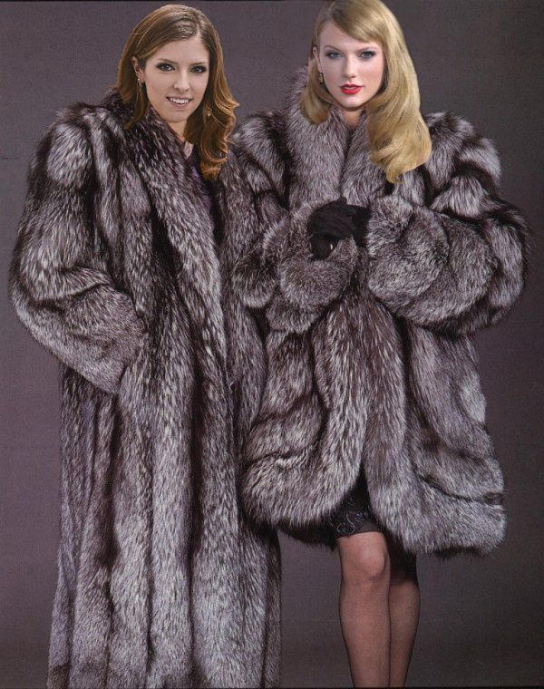 Taylor Swift and Anna Kendrick in silver fox fur by FurHugo on DeviantArt